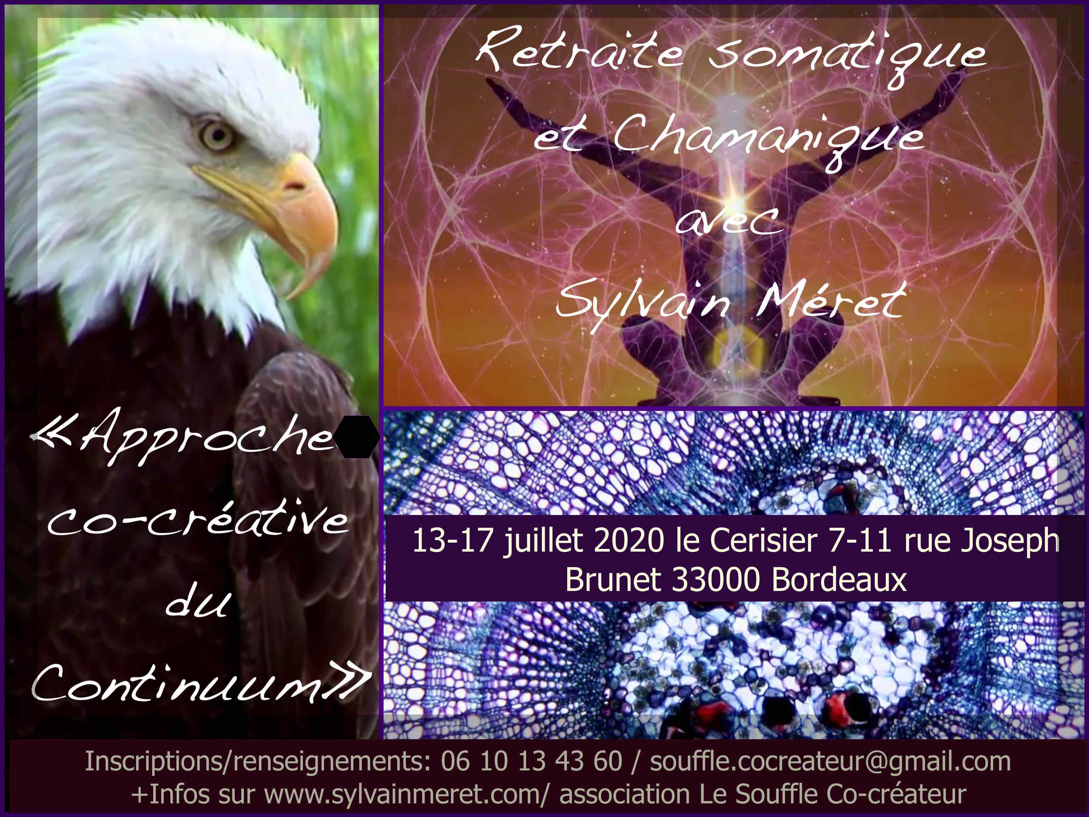 cocreative continuum juillet 2020 flyer