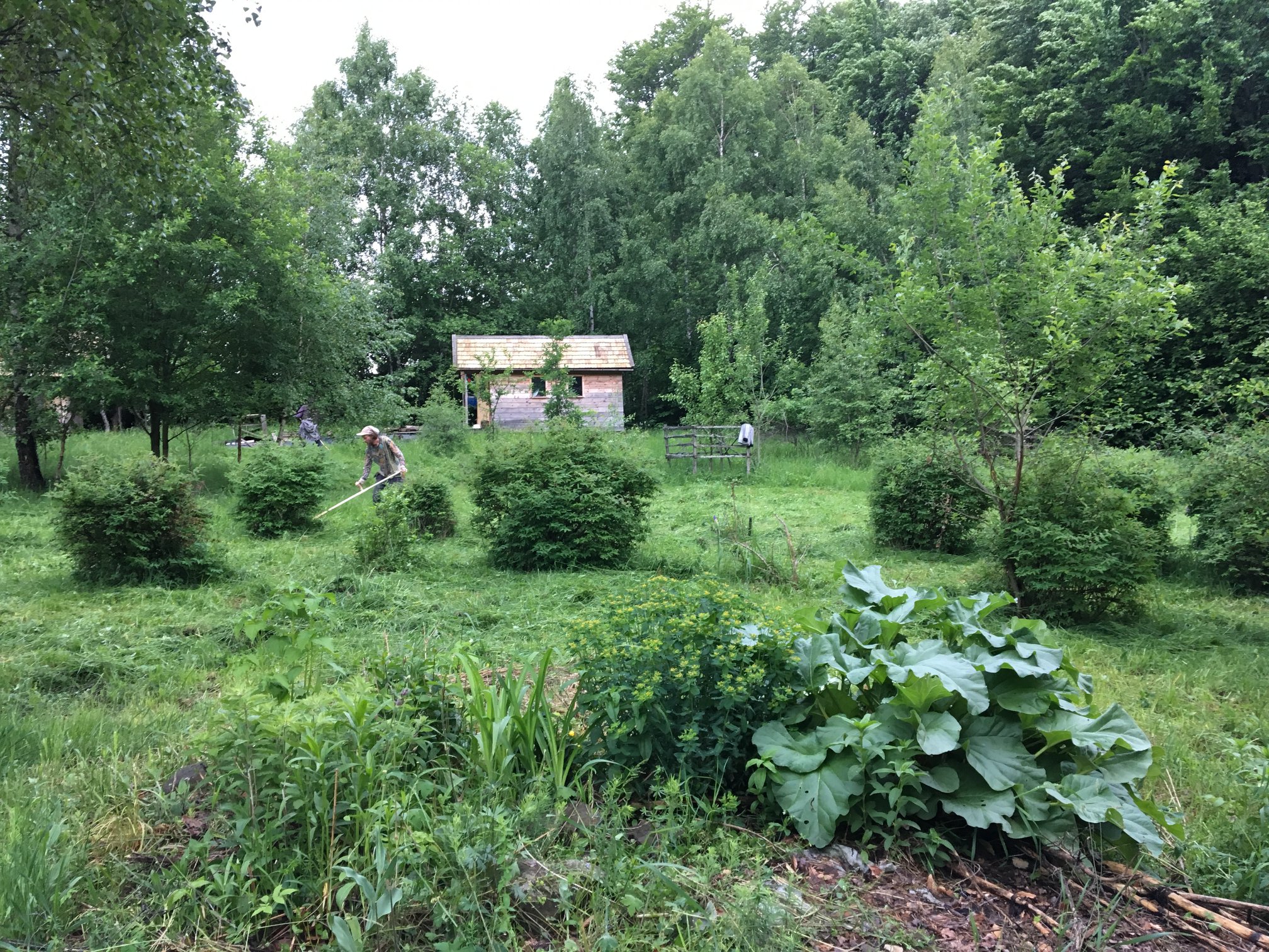 33577642_10216028999546183_1577403769694453760_o